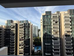 the-terrace photo thumbnail #14